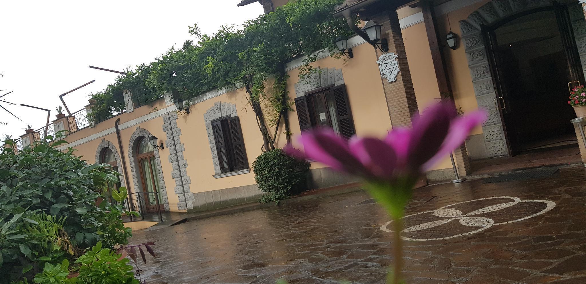 Villa Icidia Frascati Eksteriør bilde